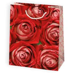 Bolsas de regalo BO-0029