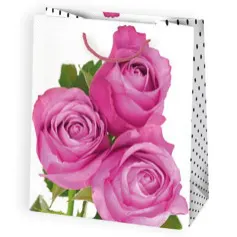 Bolsas de regalo BO-0030