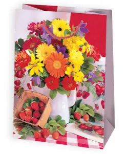Bolsas de regalo BO-0103