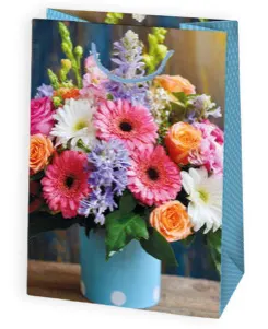 Bolsas de regalo BO-0104