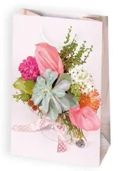 Bolsas de regalo BO-0559
