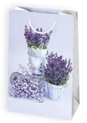 Bolsas de regalo BO-0560