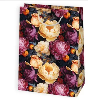 Bolsas de regalo BO-0203