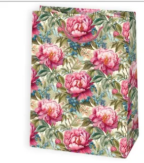 Bolsas de regalo BO-0205