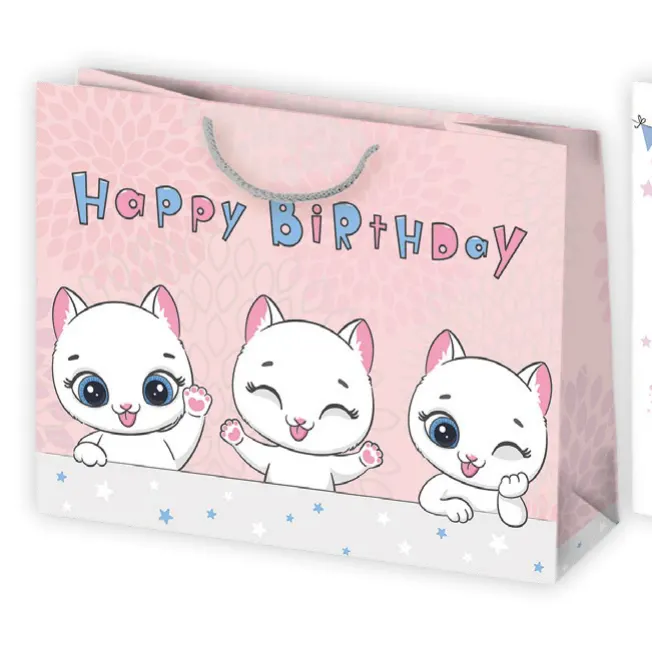 Bolsas de regalo BO-0470