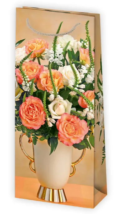 Bolsas de regalo BO-0480