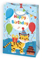 Bolsas de regalo BO-0576