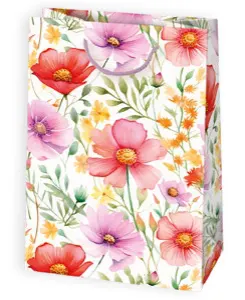 Bolsas de regalo BO-0110