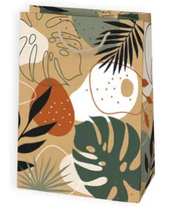 Bolsas de regalo BO-0053