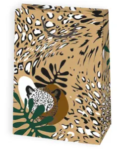 Bolsas de regalo BO-0054