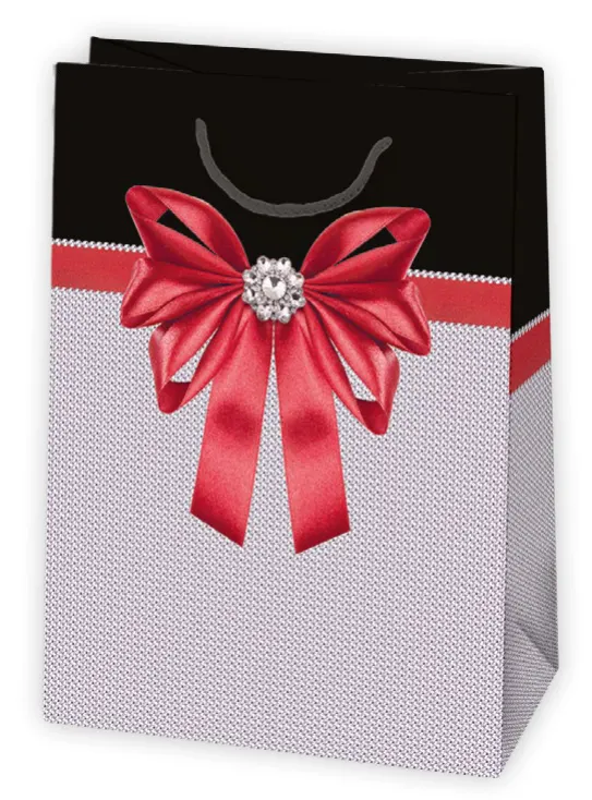 Bolsas de regalo BO-0424