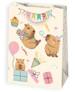 Bolsas de regalo BO-0114