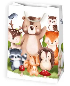 Bolsas de regalo BO-0115
