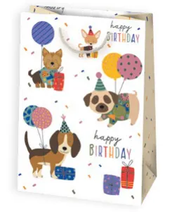 Bolsas de regalo BO-0116