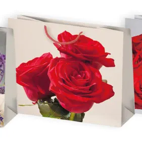 Bolsas de regalo BO-0130