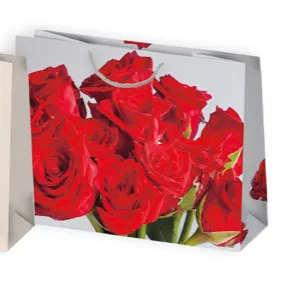 Bolsas de regalo BO-0131