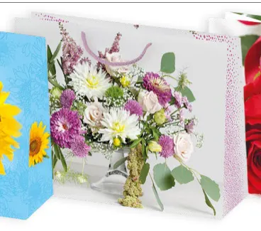Bolsas de regalo BO-0152