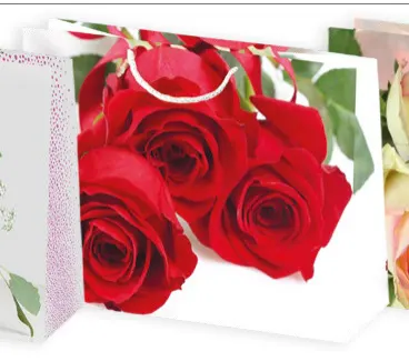 Bolsas de regalo BO-0153