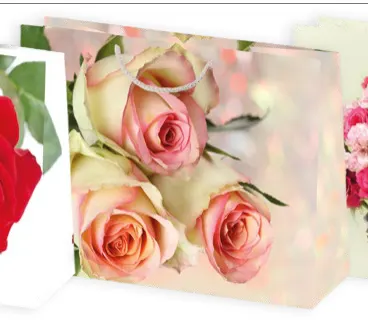 Bolsas de regalo BO-0154