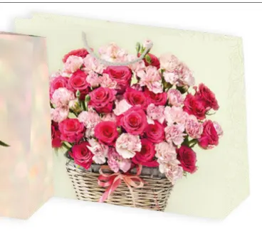Bolsas de regalo BO-0155