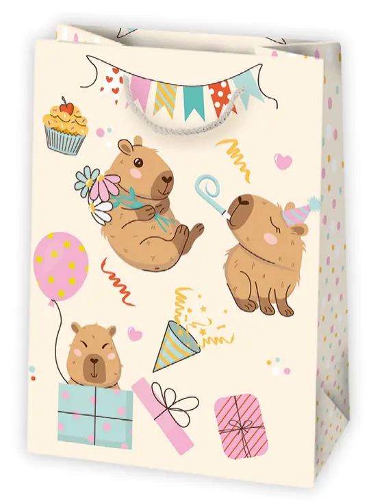 Bolsas de regalo BO-0431