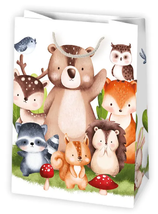 Bolsas de regalo BO-0432