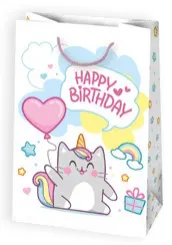Bolsas de regalo BO-0577