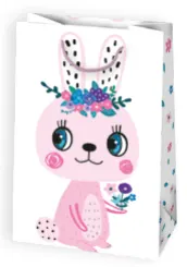 Bolsas de regalo BO-0580