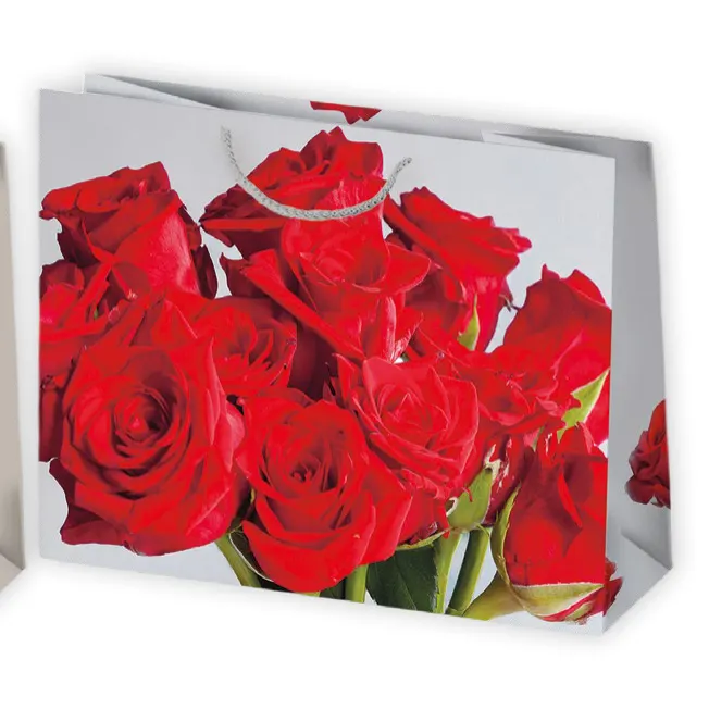 Bolsas de regalo BO-0475