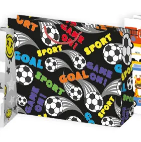 Bolsas de regalo BO-0133