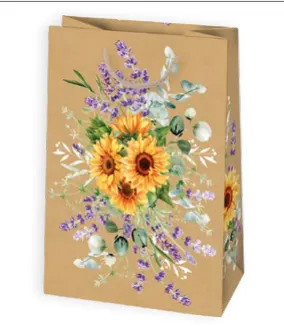 Bolsas de regalo BO-0158