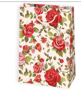 Bolsas de regalo BO-0178