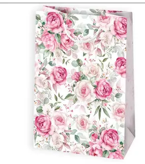 Bolsas de regalo BO-0181