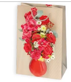 Bolsas de regalo BO-0185
