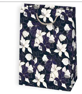 Bolsas de regalo BO-0190