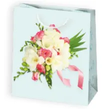Bolsas de regalo BO-0541