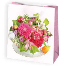 Bolsas de regalo BO-0542