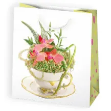 Bolsas de regalo BO-0543