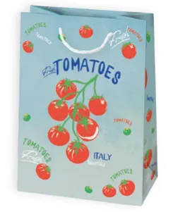 Bolsas de regalo BO-0119
