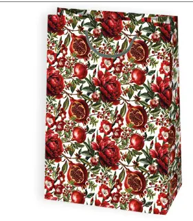 Bolsas de regalo BO-0194