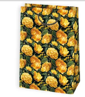 Bolsas de regalo BO-0195