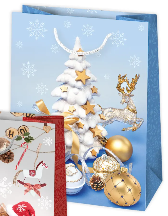 Bolsas de regalo BO-0717