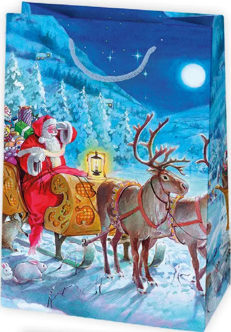 Bolsas de regalo BO-0679