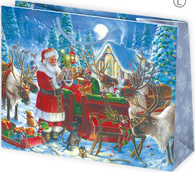 Bolsas de regalo BO-0705