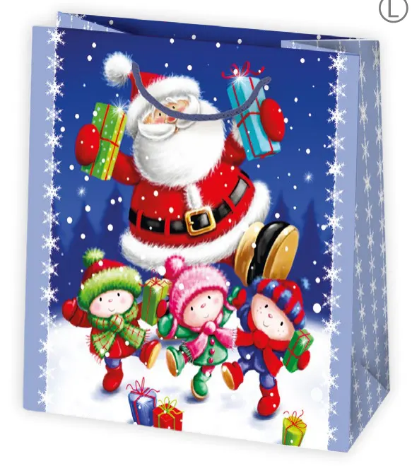 Bolsas de regalo BO-0607
