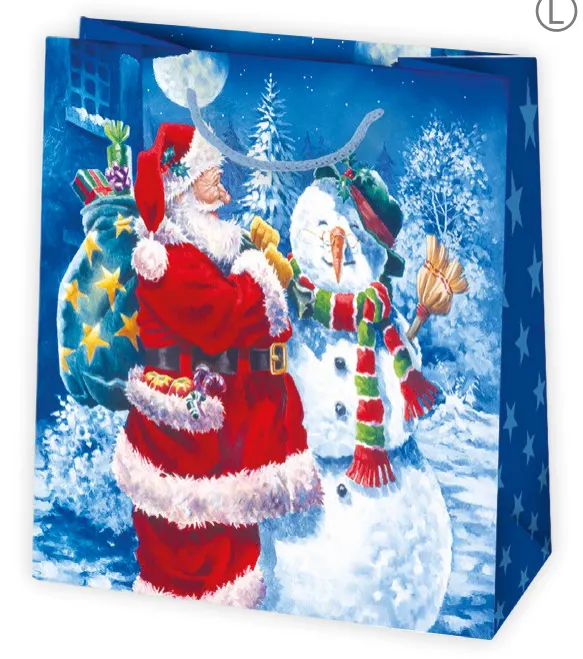 Bolsas de regalo BO-0609