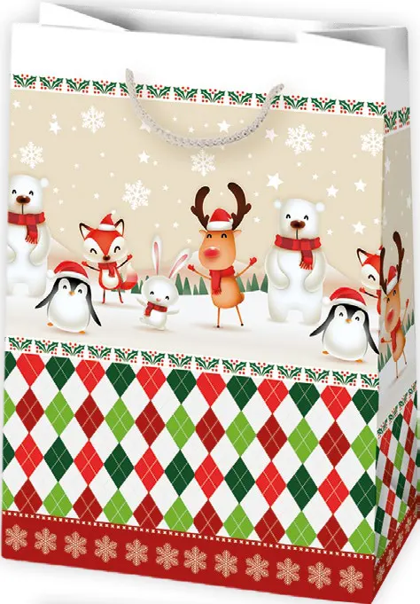 Bolsas de regalo BO-0687