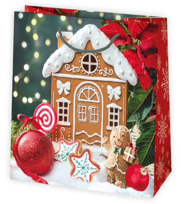 Bolsas de regalo BO-0614