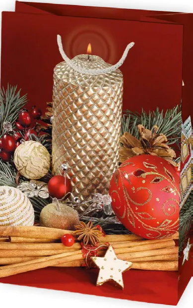 Bolsas de regalo BO-0629
