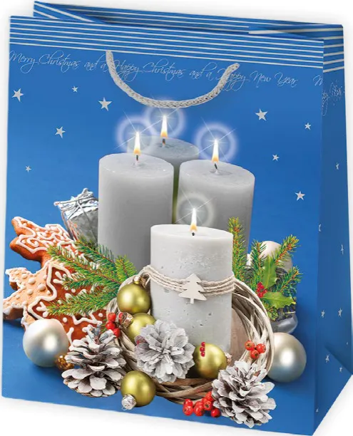 Bolsas de regalo BO-0653